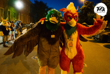 bfd16 von stoegi bfd16 von stoegi