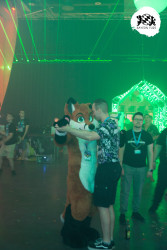 bfd16 von zip bfd16 von zip