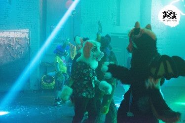 bfd16 von zip bfd16 von zip