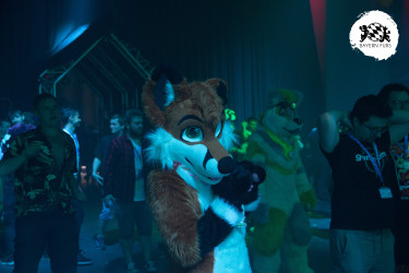 bfd16 von zip bfd16 von zip