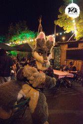 bfd16 von zip bfd16 von zip