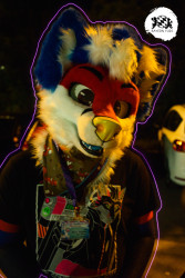 bfd16 von stoegi bfd16 von stoegi