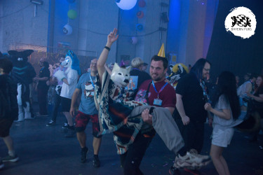 bfd16 von zip bfd16 von zip