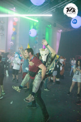 bfd16 von zip bfd16 von zip