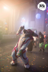 bfd16 von zip bfd16 von zip