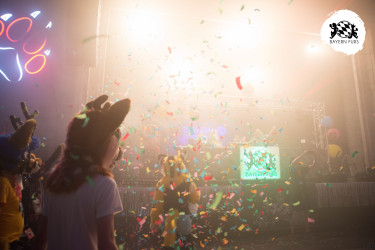 bfd16 von zip bfd16 von zip