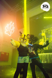 bfd16 von zip bfd16 von zip