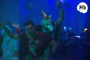 bfd16 von zip bfd16 von zip