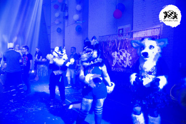 bfd16 von zip bfd16 von zip