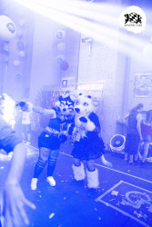 bfd16 von zip bfd16 von zip