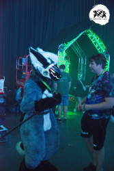 bfd16 von zip bfd16 von zip