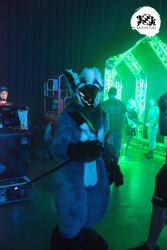 bfd16 von zip bfd16 von zip