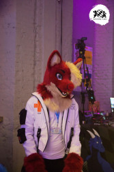 bfd16 von zip bfd16 von zip