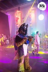 bfd16 von zip bfd16 von zip