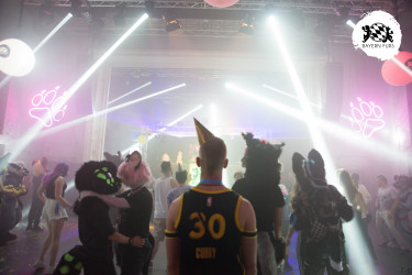 bfd16 von zip bfd16 von zip