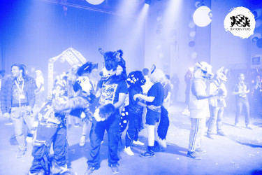 bfd16 von zip bfd16 von zip