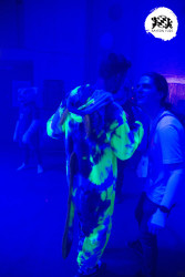 bfd16 von zip bfd16 von zip