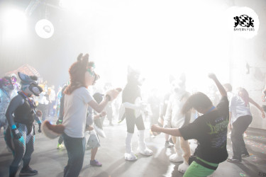 bfd16 von zip bfd16 von zip