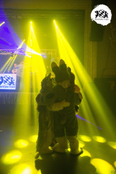 bfd16 von zip bfd16 von zip