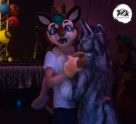 bfd16 von stoegi bfd16 von stoegi