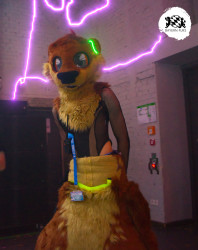 bfd16 von stoegi bfd16 von stoegi