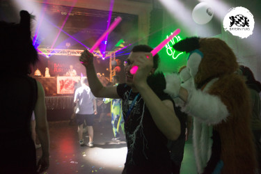 bfd16 von zip bfd16 von zip