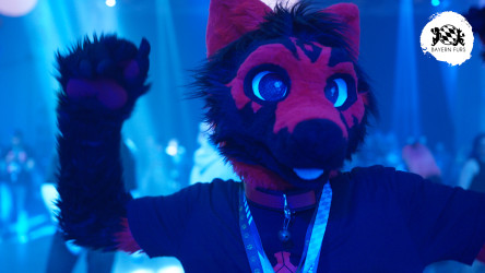 bfd16 von kealian bfd16 von kealian