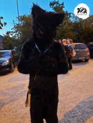 bfd16 von rosa bfd16 von rosa