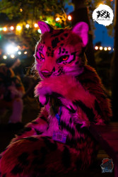 bfd16 von lunos bfd16 von lunos