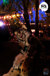 bfd16 von lunos bfd16 von lunos