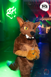 bfd16 von lunos bfd16 von lunos