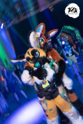 bfd16 von lunos bfd16 von lunos