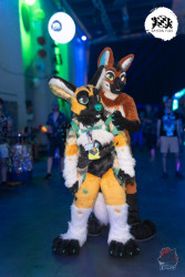 bfd16 von lunos bfd16 von lunos