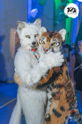 bfd16 von lunos bfd16 von lunos