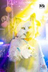 bfd16 von lunos bfd16 von lunos