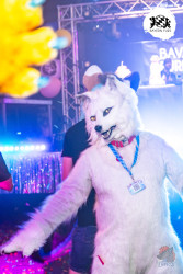 bfd16 von lunos bfd16 von lunos