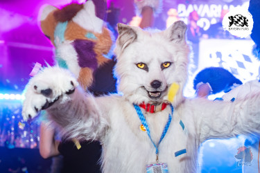 bfd16 von lunos bfd16 von lunos