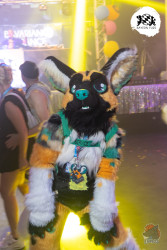 bfd16 von lunos bfd16 von lunos