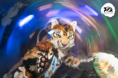 bfd16 von lunos bfd16 von lunos