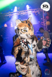 bfd16 von lunos bfd16 von lunos