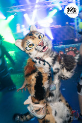 bfd16 von lunos bfd16 von lunos