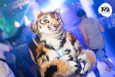 bfd16 von lunos bfd16 von lunos